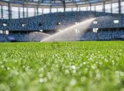 纳达尔红土,风头盖过群,实至名归,万博体育manbet平台,万博体育manbet,app,万博体育平台