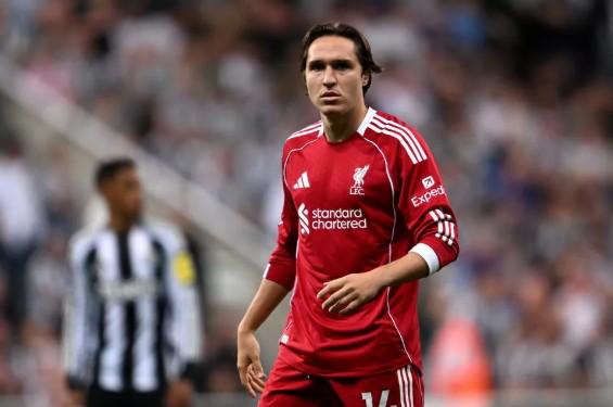 李沁庆功宴,疑恋情曝光,肖战粉丝力,万博体育manbet平台,万博体育manbet,app,万博体育平台