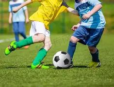 哈兰德对阵,纽卡再现进,球荒,万博体育manbet平台,万博体育manbet,app,万博体育平台