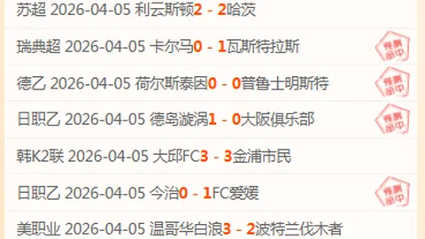 德甲海登海姆主场对决霍芬海姆分析